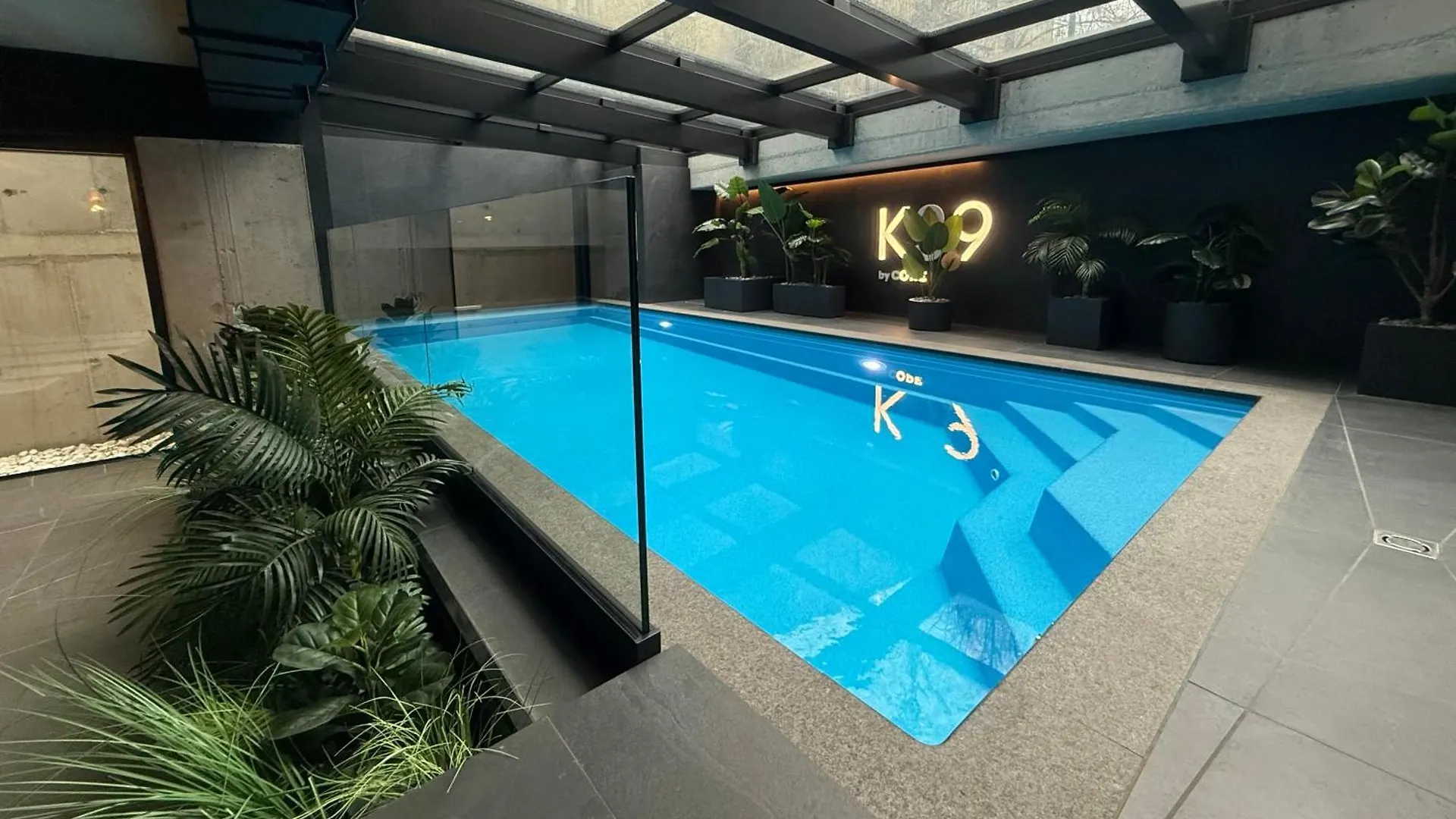 Vistula Avenue Apartment Free Parking, Swimming Pool, Sauna & Gym Krasków